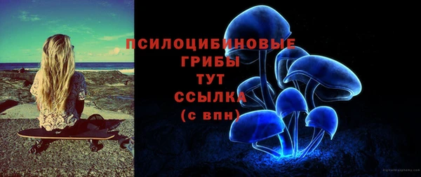 ECSTASY Лиски