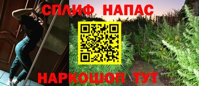 apvp Дубна