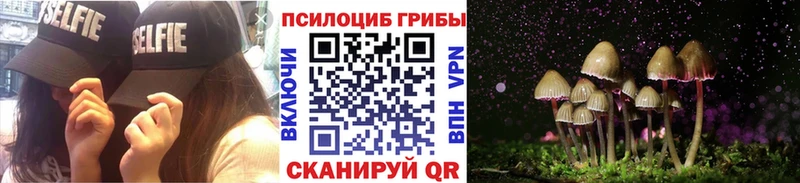 Галлюциногенные грибы Psilocybe  мега как войти  Холмск 