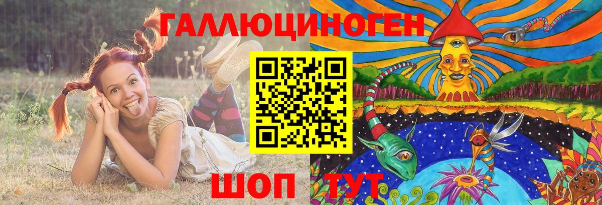 Псилоцибиновые грибы Psilocybine cubensis Холмск